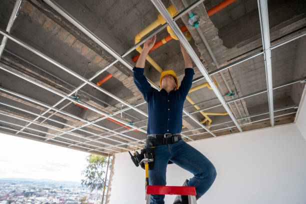 Best Affordable Plumber Near Me  in Columbus Junction, IA