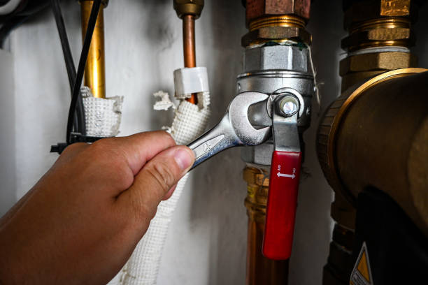 Best Plumbing Services Near Me  in Columbus Junction, IA